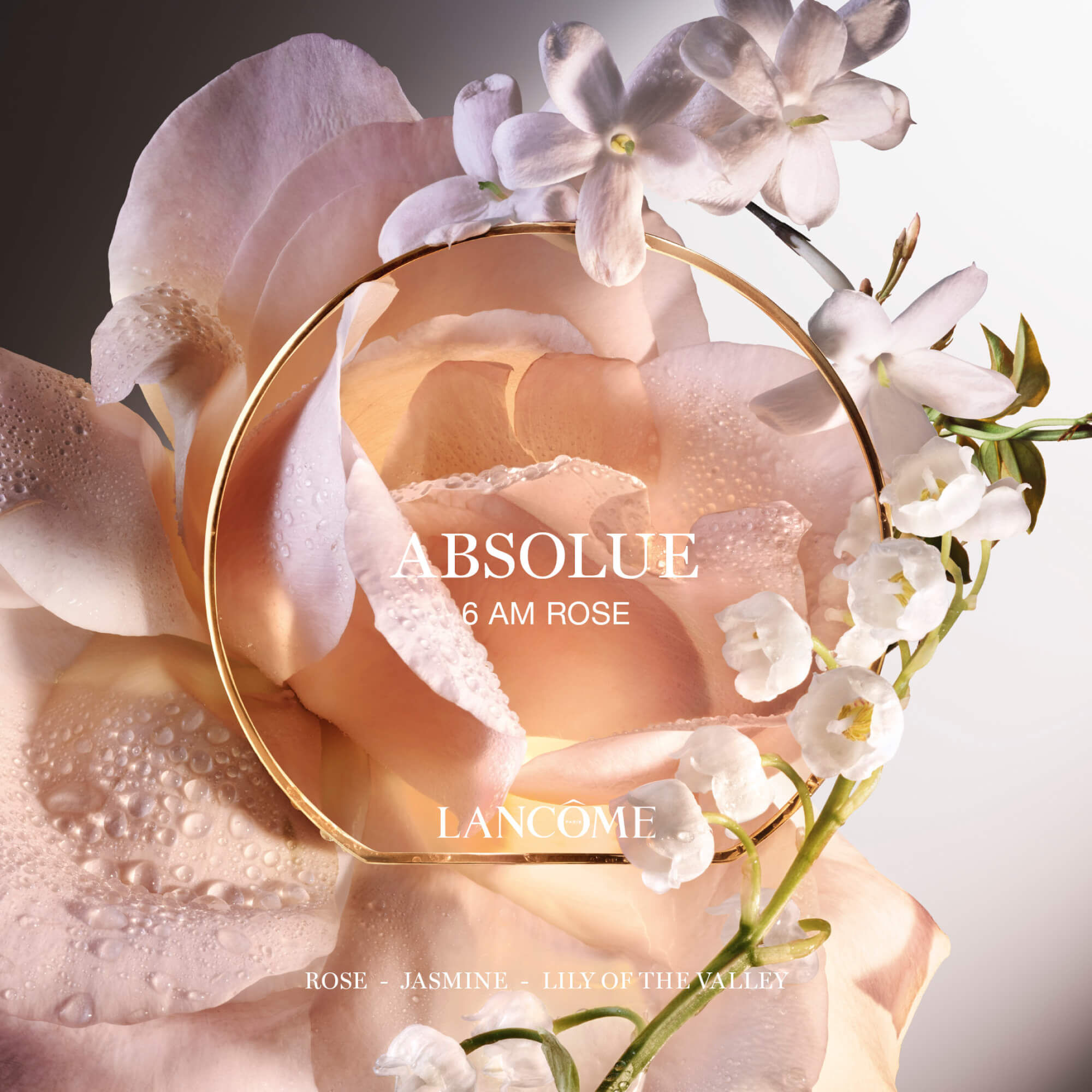 Absolue Les Parfums 6 AM ROSE בושם לאישה א.ד.פ 100 מ"ל