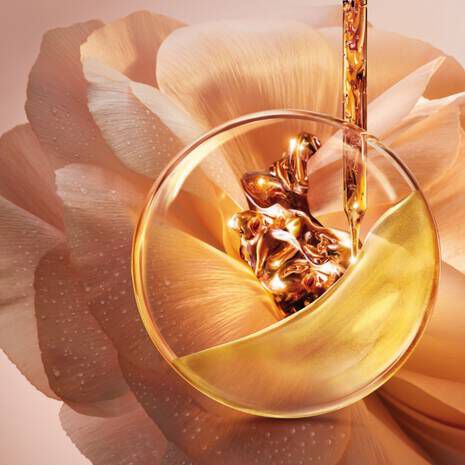 ABSOLUE TRAVEL SET - מארז נסיעות אבסולו