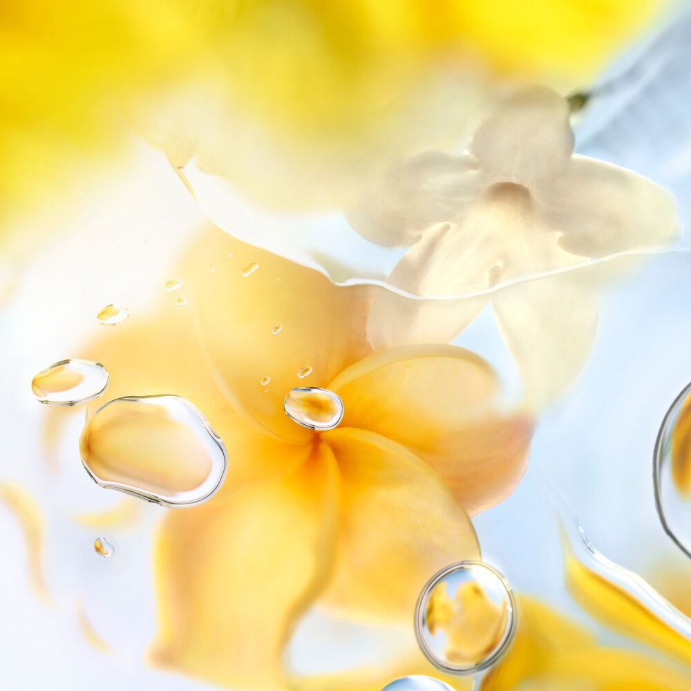 O Zenith EDT בושם לאישה