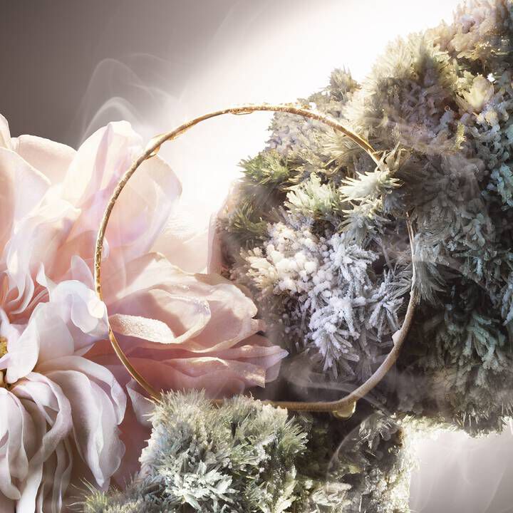 Absolue Les Parfums NOT YOUR ROSE בושם לאישה א.ד.פ 100 מ"ל