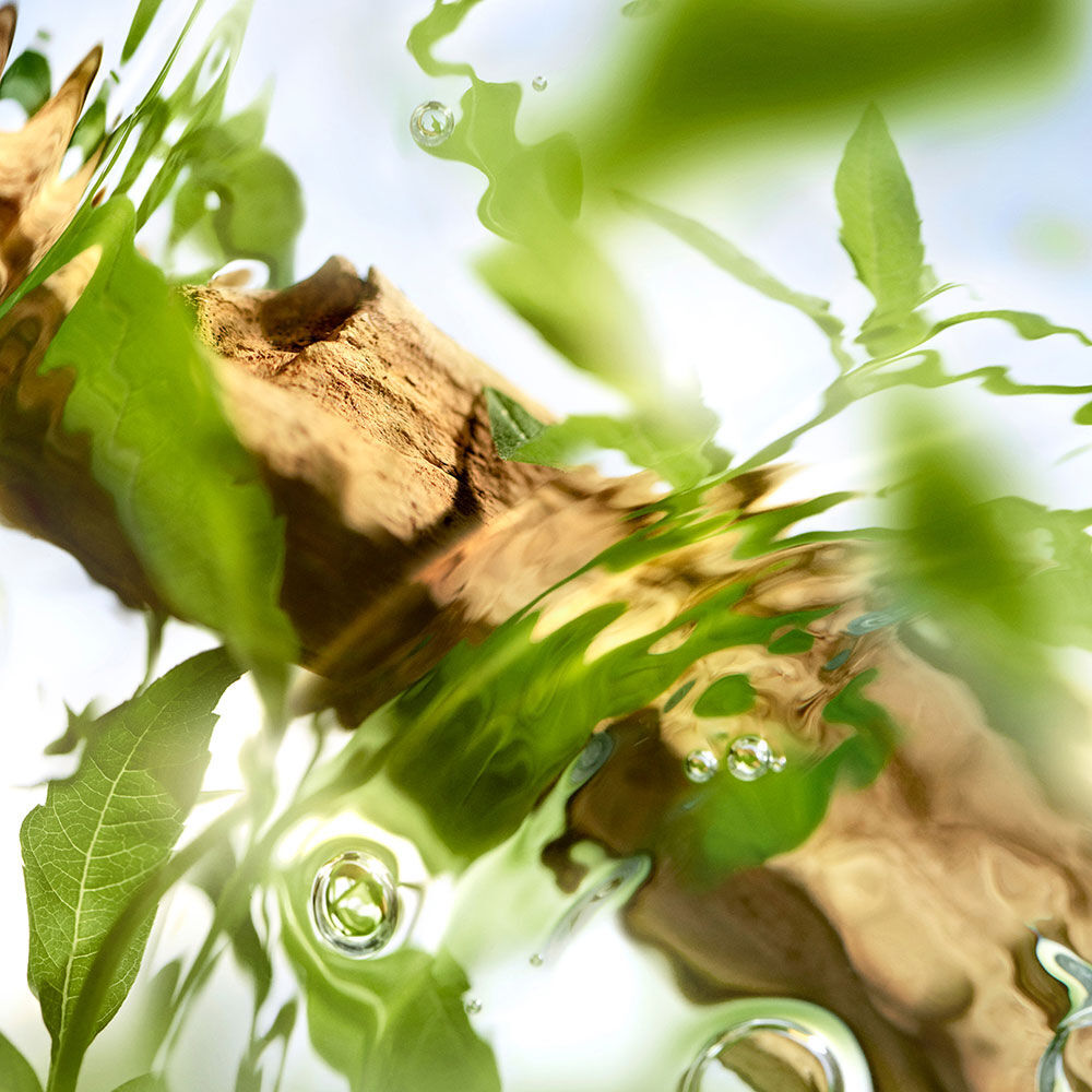 OFF NOW EDT - בושם לאישה