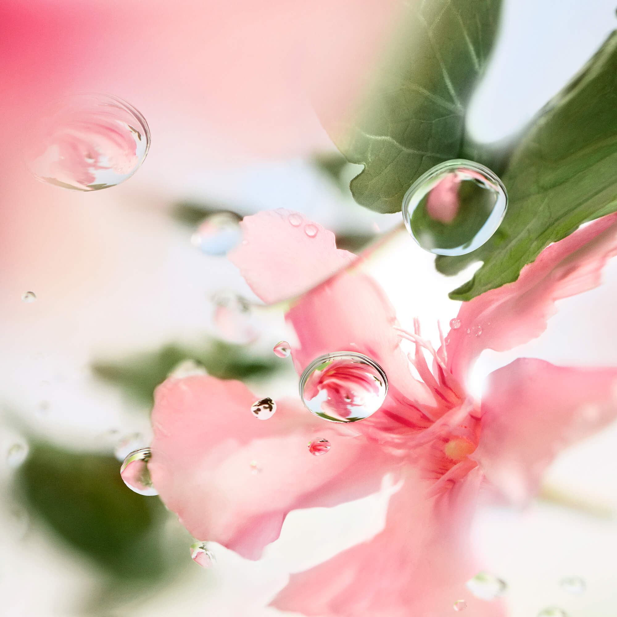 Over the Top EDT - בושם לאישה